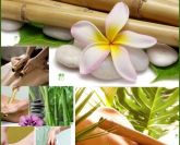 Massagem Bamboo Terapy Facial e Corporal